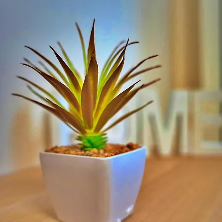 The Heart Of Just Steps Away From Vitoshka *