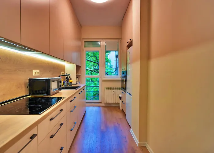 The Heart Of Just Steps Away From Vitoshka * ソフィア